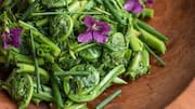Kreasikan Salad Daun Pakis yang Lezat di Rumah