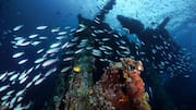 Kuil Bawah Laut Unik di Bali