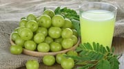 Tingkatkan Cita Rasa Hidangan Panggang dengan Sentuhan Amla
