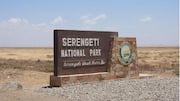 Jelajahi Serengeti di Tanzania: Impian Pencinta Satwa Liar