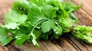 Sederet Herbal yang Memperkaya Cita Rasa Hidangan Vegetarian