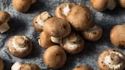Mengungkap Manfaat Jamur Musiman dalam Hidangan Vegetarian