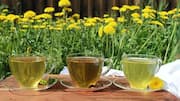 Resep Unik dengan Bahan Dasar Dandelion