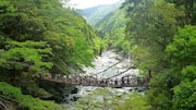 Keindahan Lembah Iya di Jepang