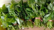 Potensi Kuliner dari Daun Kacang Panjang