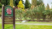 Tempat Piknik Terbaik di Vancouver untuk Relaksasi