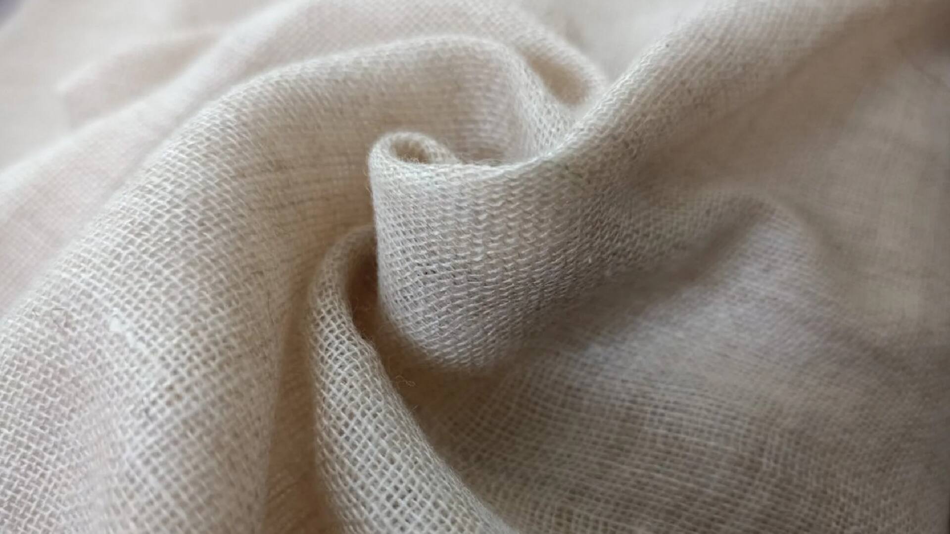 Kain bambu berkelanjutan: Masa depan mode ramah lingkungan