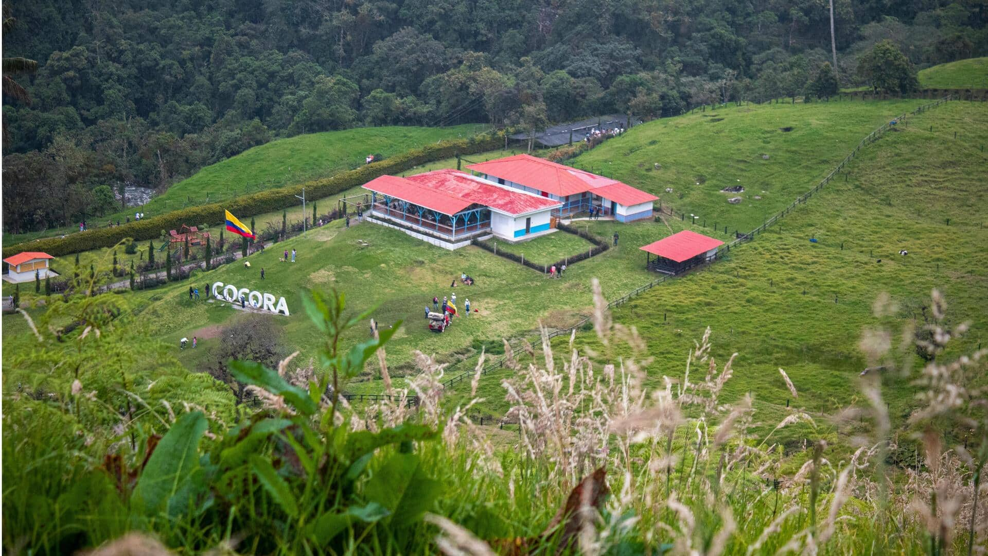 Menjelajahi Keanekaragaman Ekosistem Taman Nasional Los Nevados, Kolombia