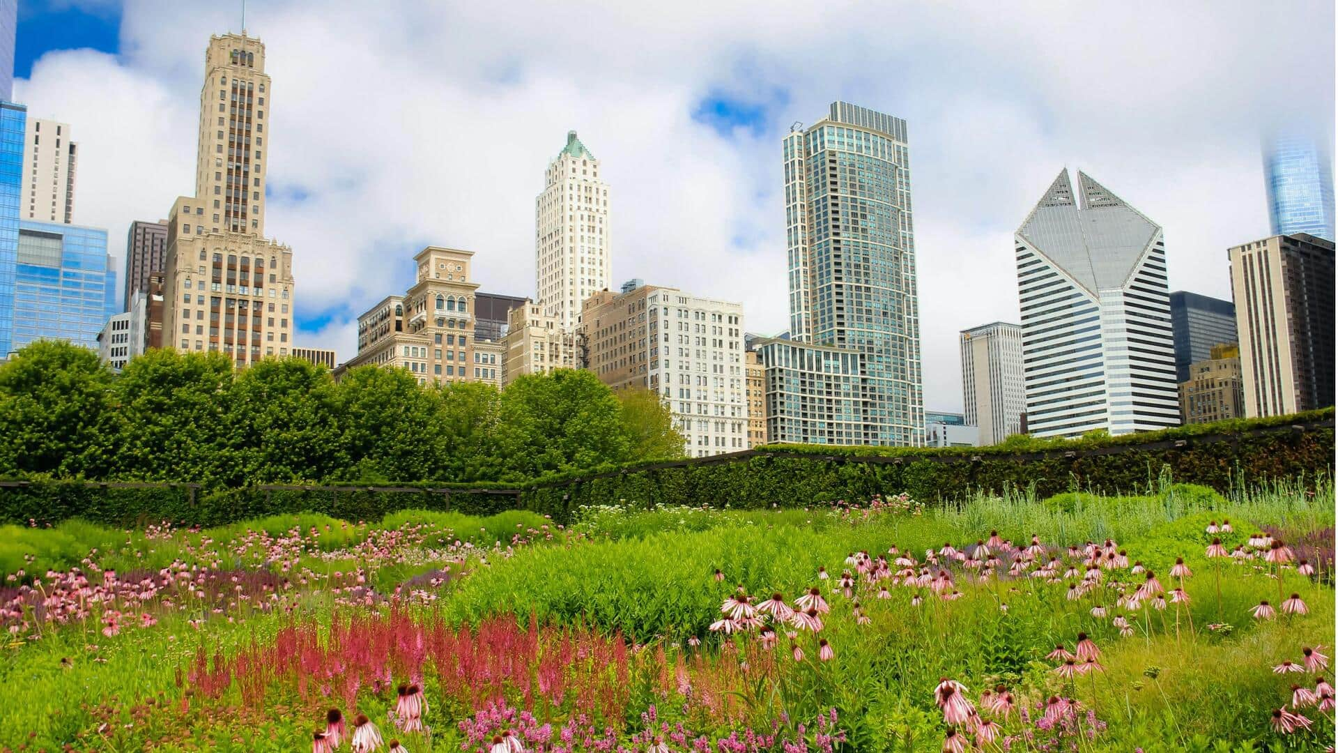 Lima Taman Atap Yang Tersembunyi Di Chicago