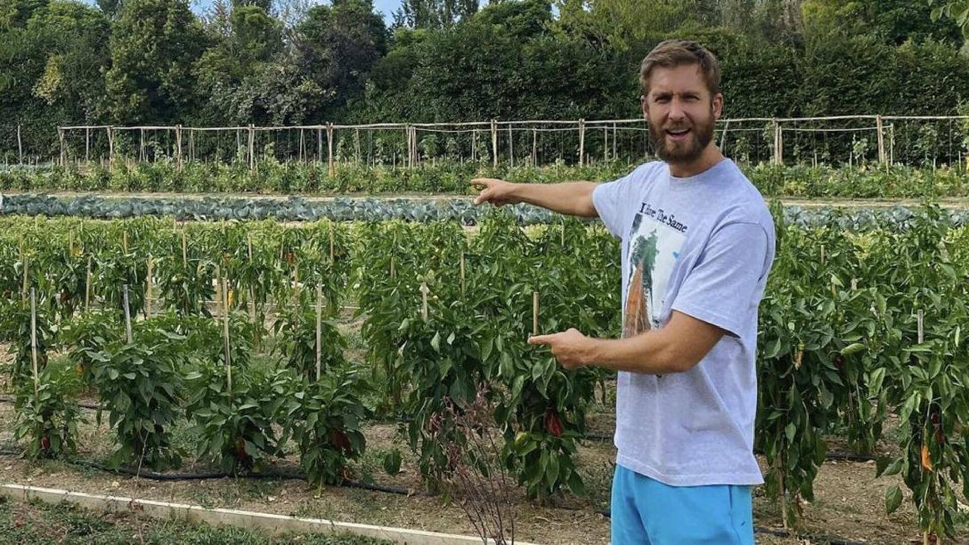 Hobi tak biasa selebriti Hollywood