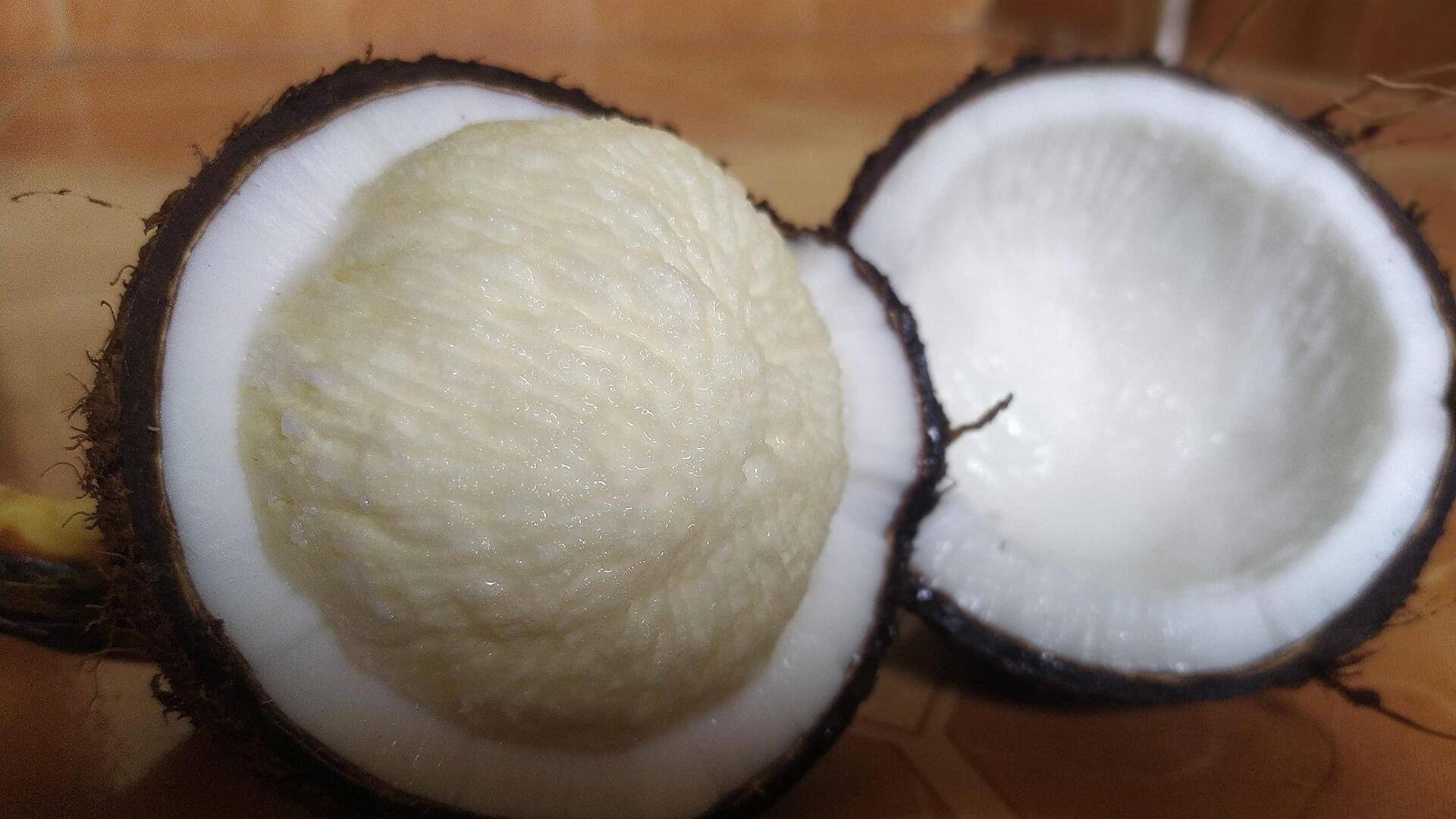 Lima Camilan Unik Berbasis Kentos Kelapa dari Dapur Indonesia