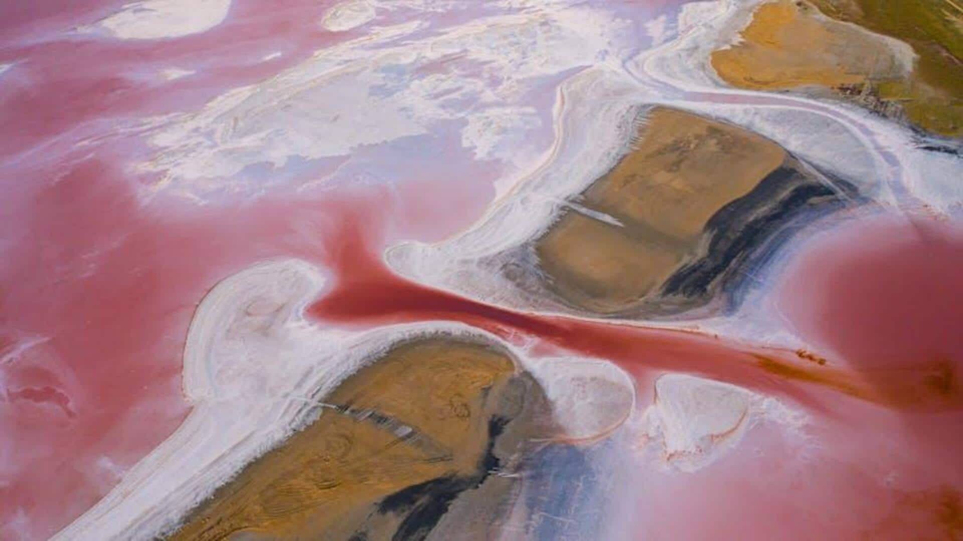 Menjelajahi Keunikan Lake Eyre, Australia