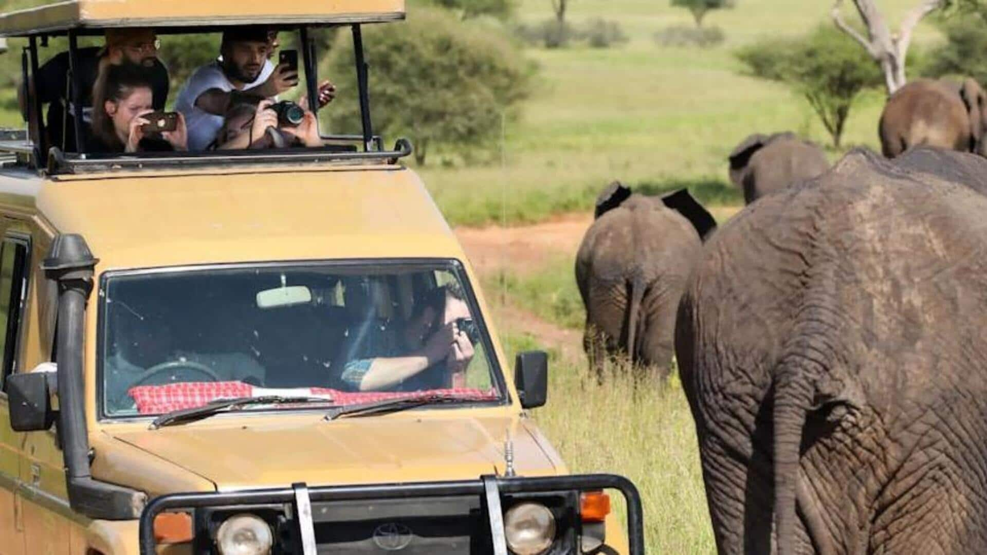 Safari Serengeti: Jalan-jalan di alam liar Tanzania 