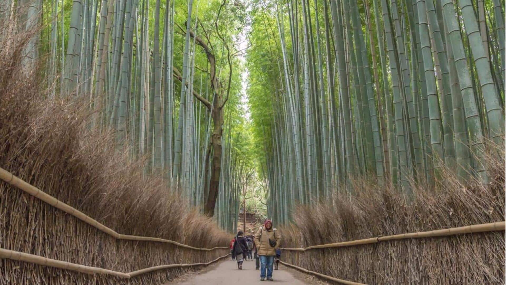 Rasakan ketenangan di Arashiyama, Kyoto, Jepang dengan panduan perjalanan ini
