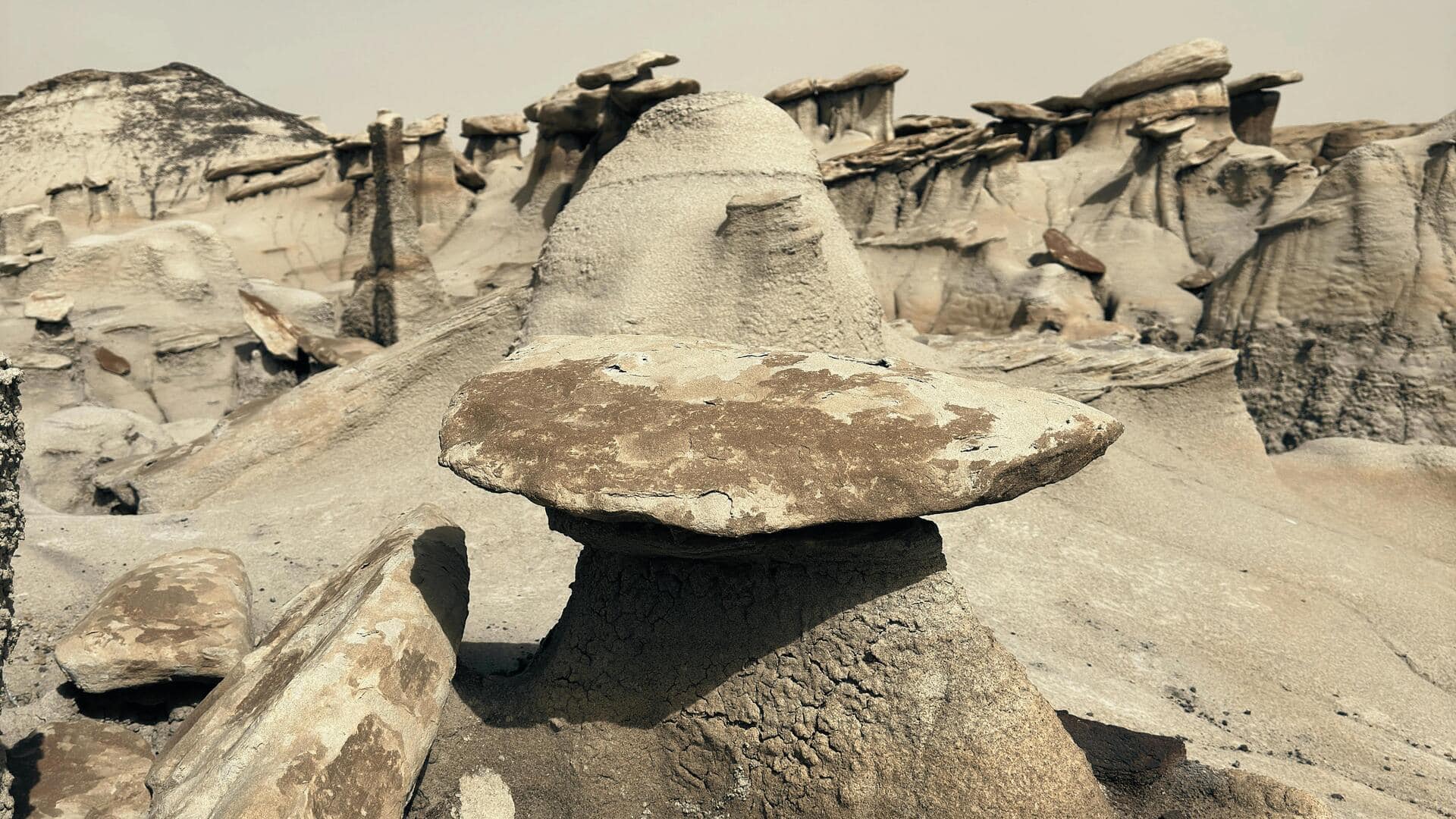 Menjelajahi Keajaiban Gurun Bisti/De-Na-Zin, New Mexico, AS