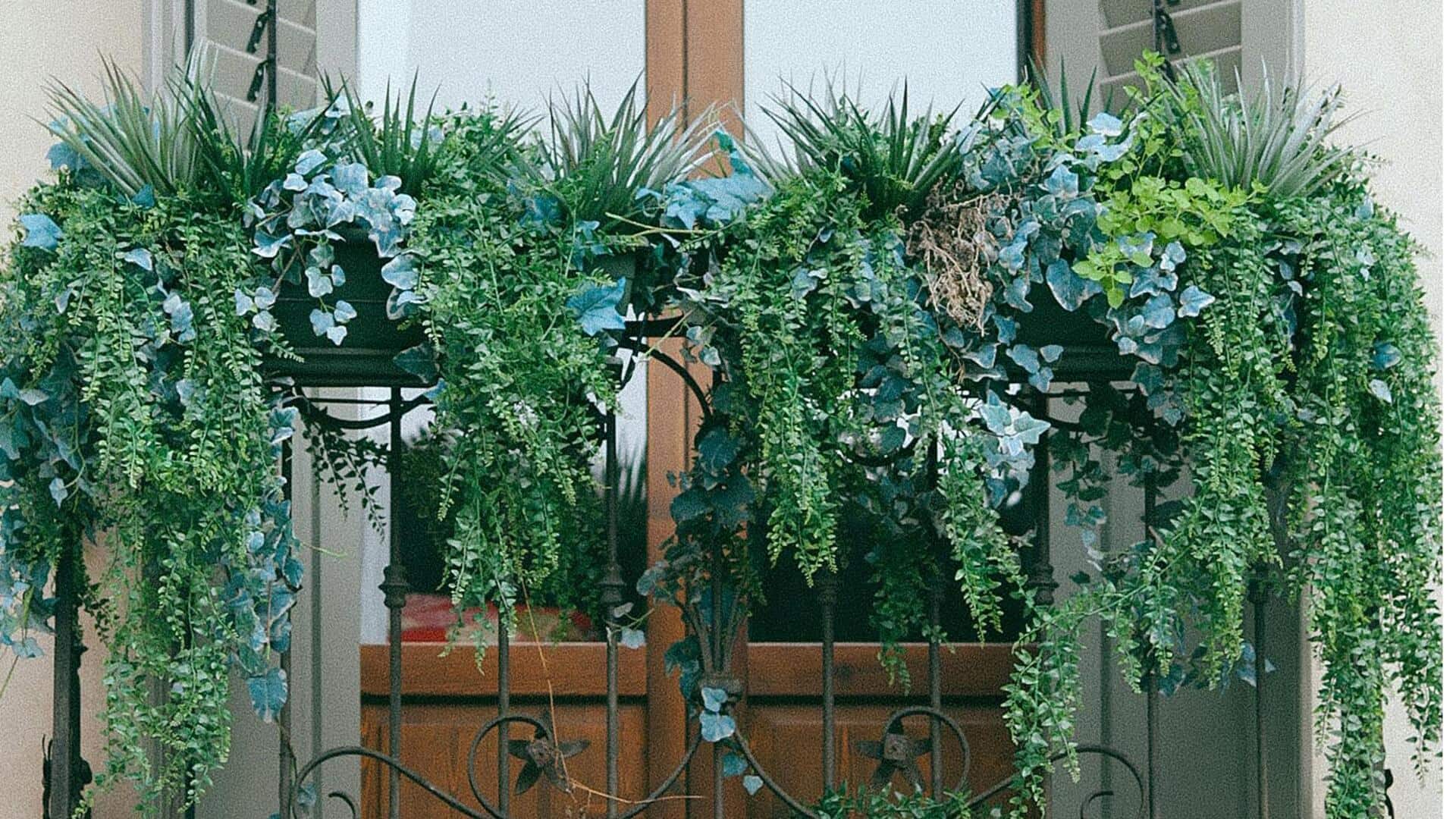 Maksimalkan Ruang Balkon dengan Lima Tips Tanaman