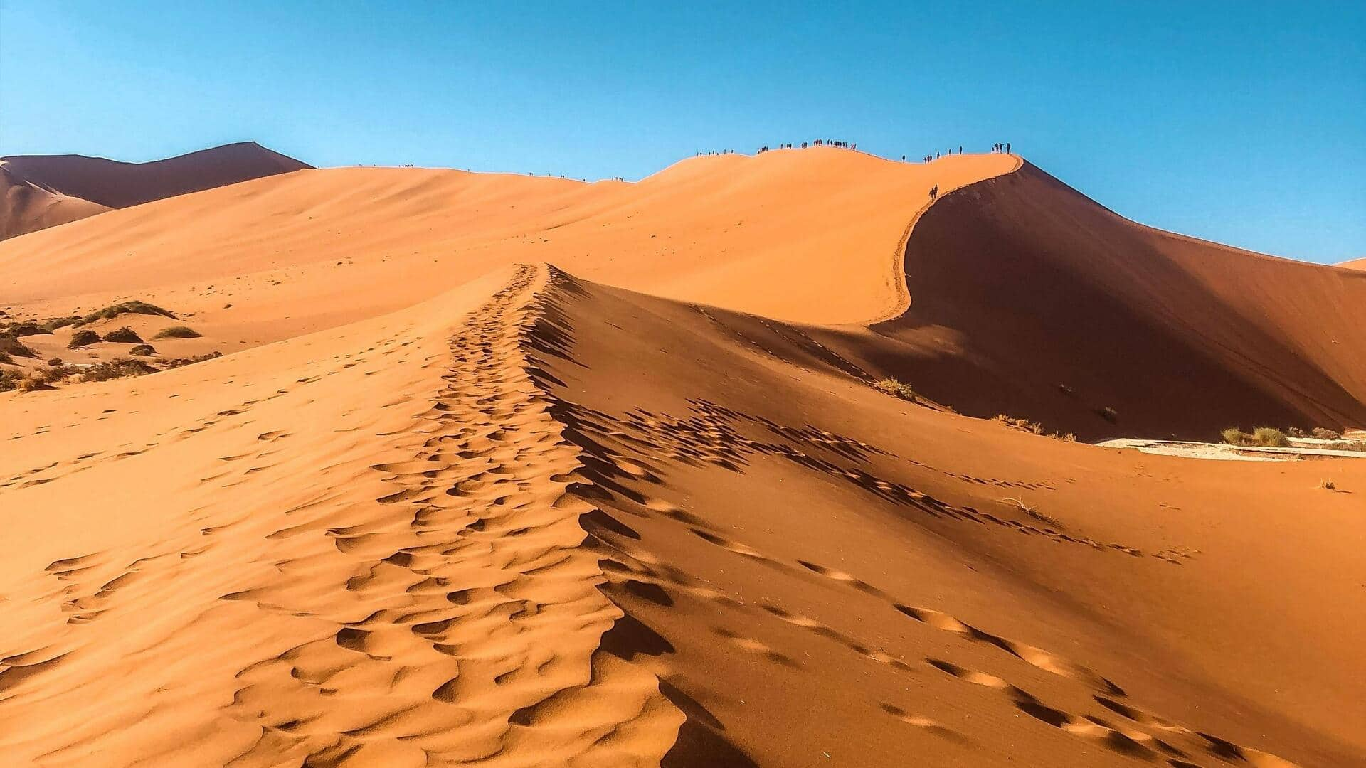 Petualangan Dune 7 di Namibia