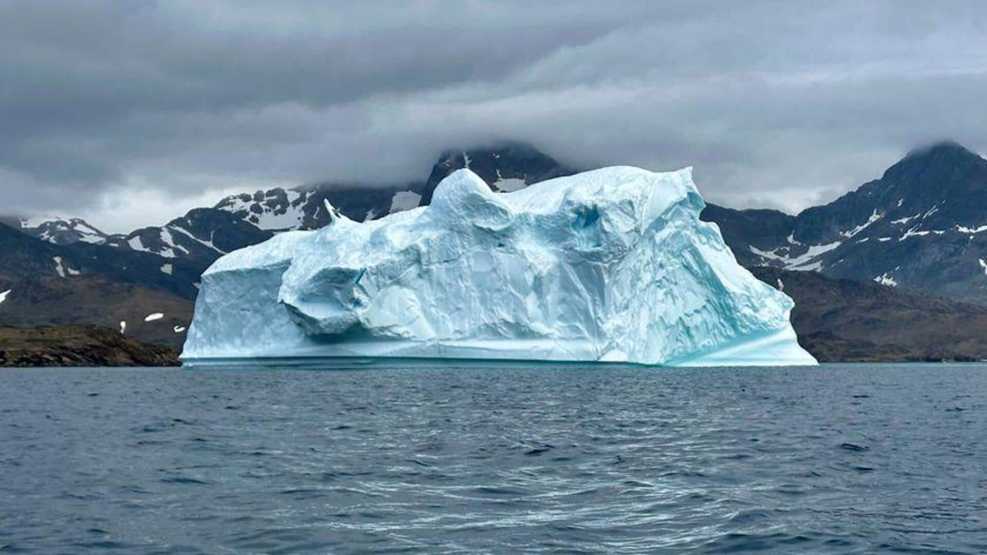 Menjelajahi Keindahan Gunung Es Greenland dengan Kayak