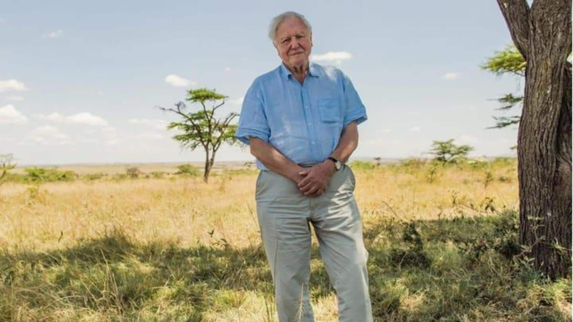 Film dan Serial Dokumenter Terbaik Dari David Attenborough