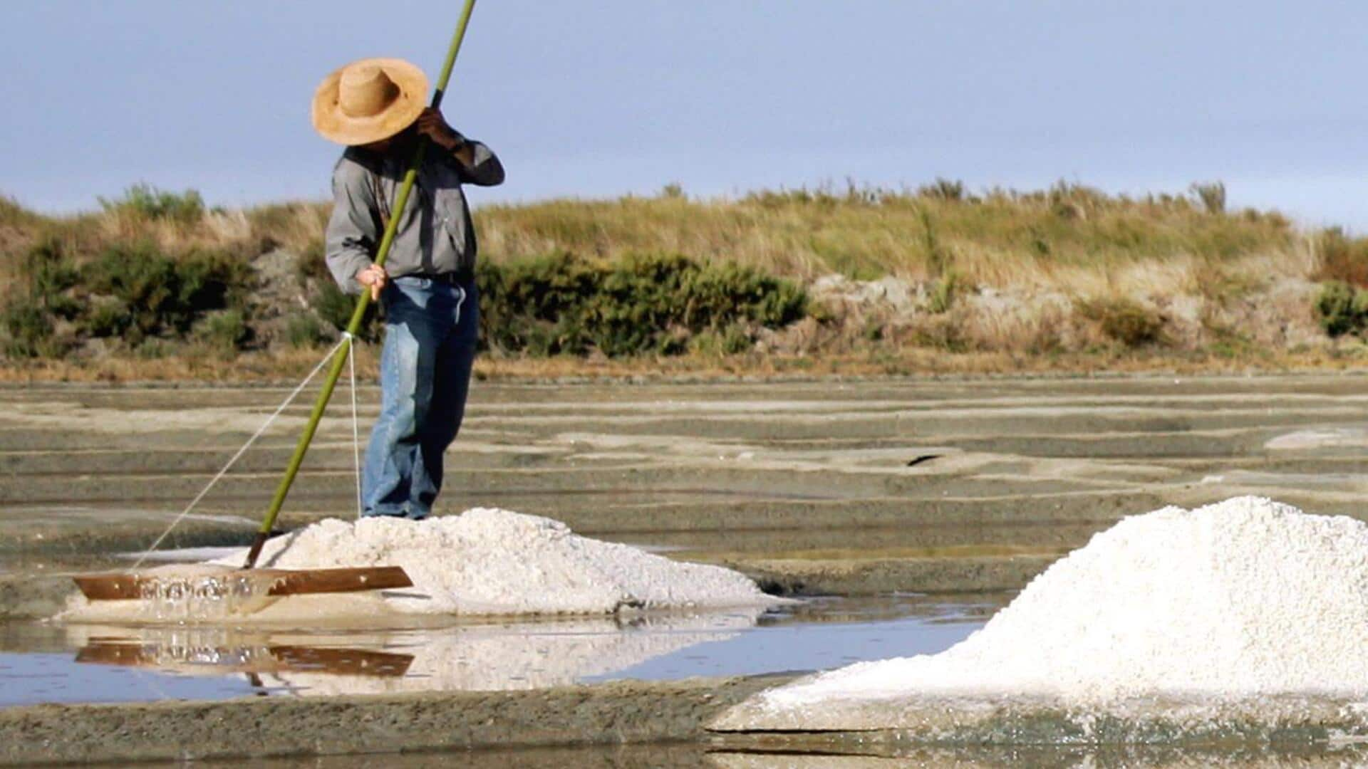 Menyaksikan Proses Panen Garam Laut Di Lahan Basah Prancis