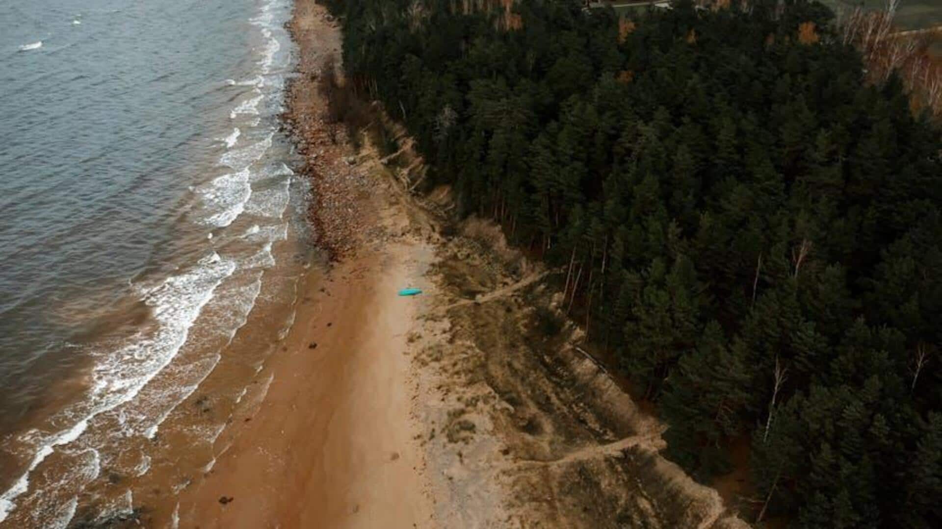 Hutan Pesisir Terliar di Latvia: Pelarian Alam Abadi