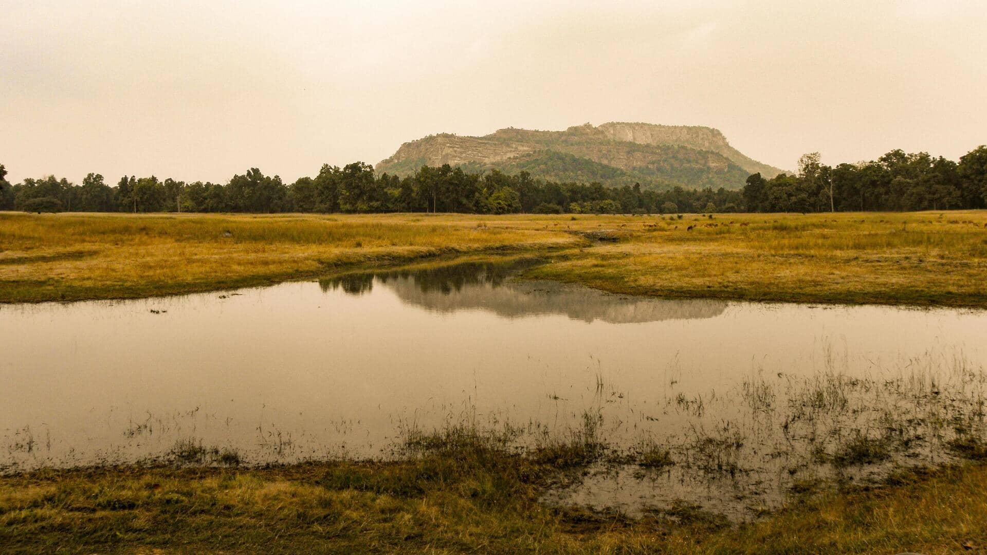 Menjelajahi Keajaiban Gua Batu Bhimbetka, India