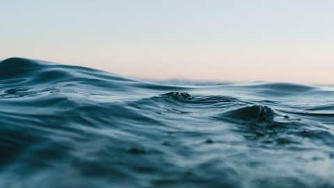 Peran Mengejutkan Mikrobioma Laut dalam Solusi Energi Terbarukan