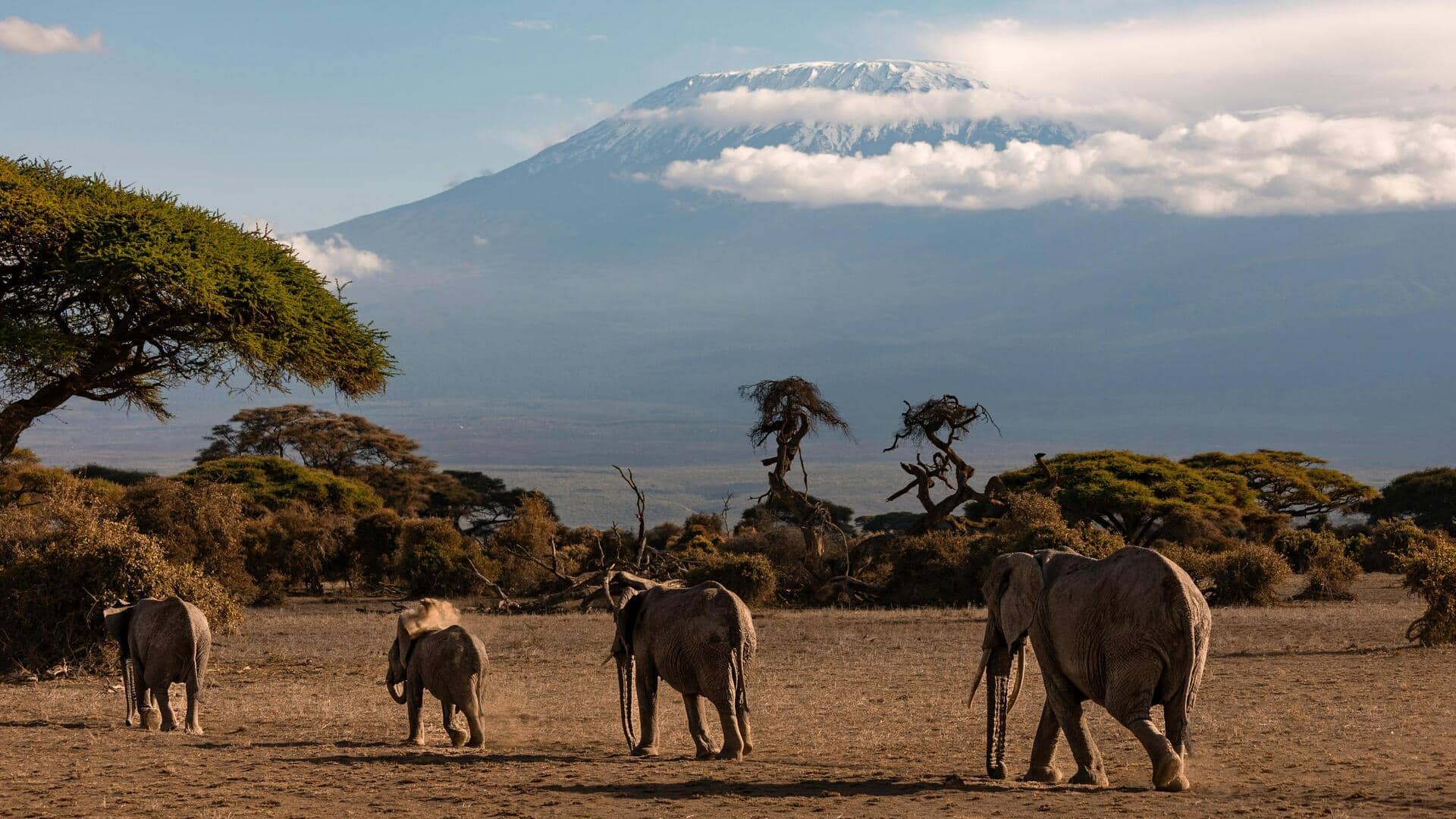 Menjelajahi Lanskap Tenang dan Misterius di Taman Nasional Amboseli, Kenya Menjelajahi Lanskap Tenang dan Misterius di Taman Nasional Amboseli, Kenya