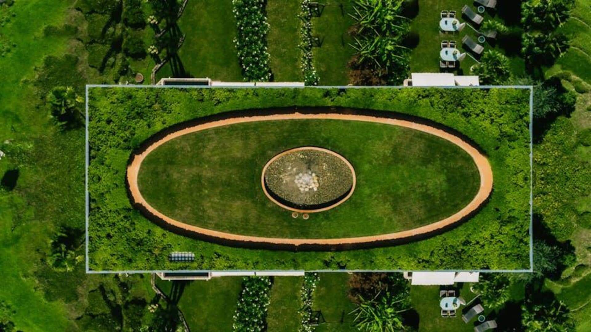 Atap Hijau: Ekosistem Urban yang Mendukung Keanekaragaman Hayati