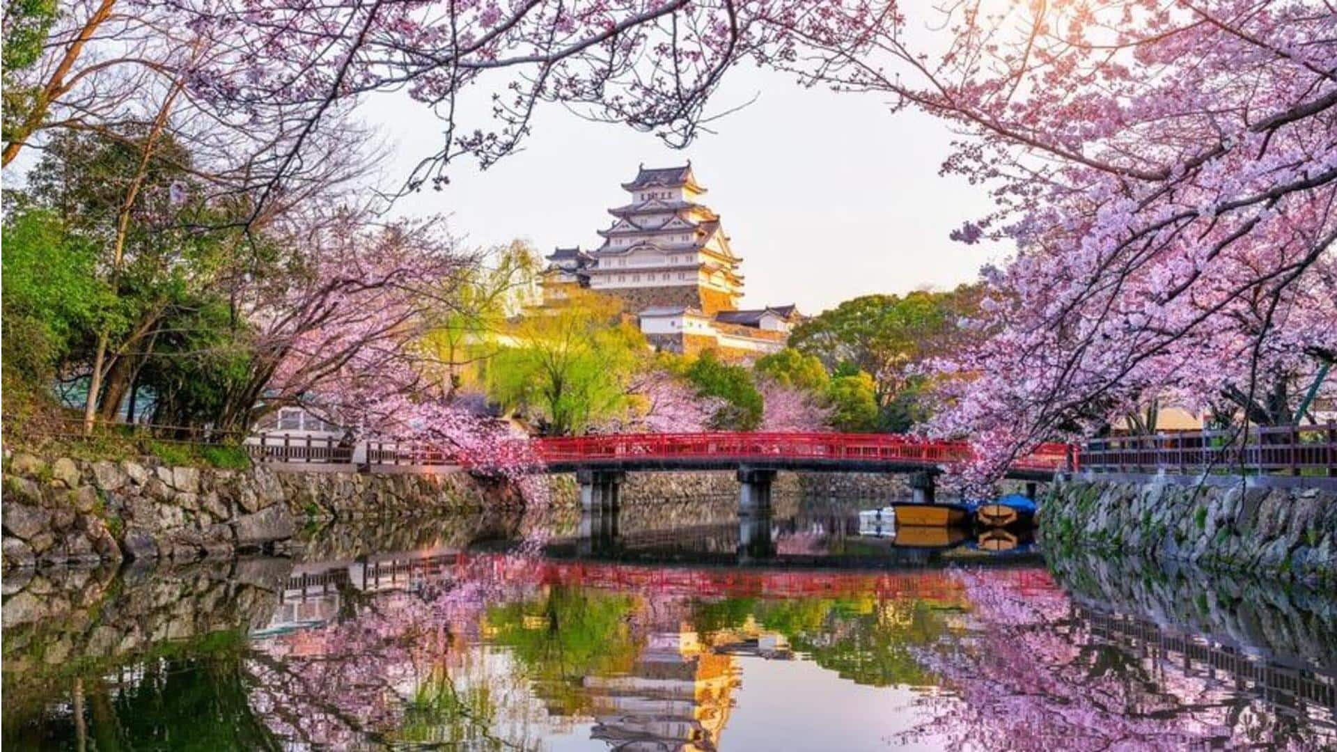 Rasakan ketenangan musim semi di Hakone, Jepang dengan panduan perjalanan ini