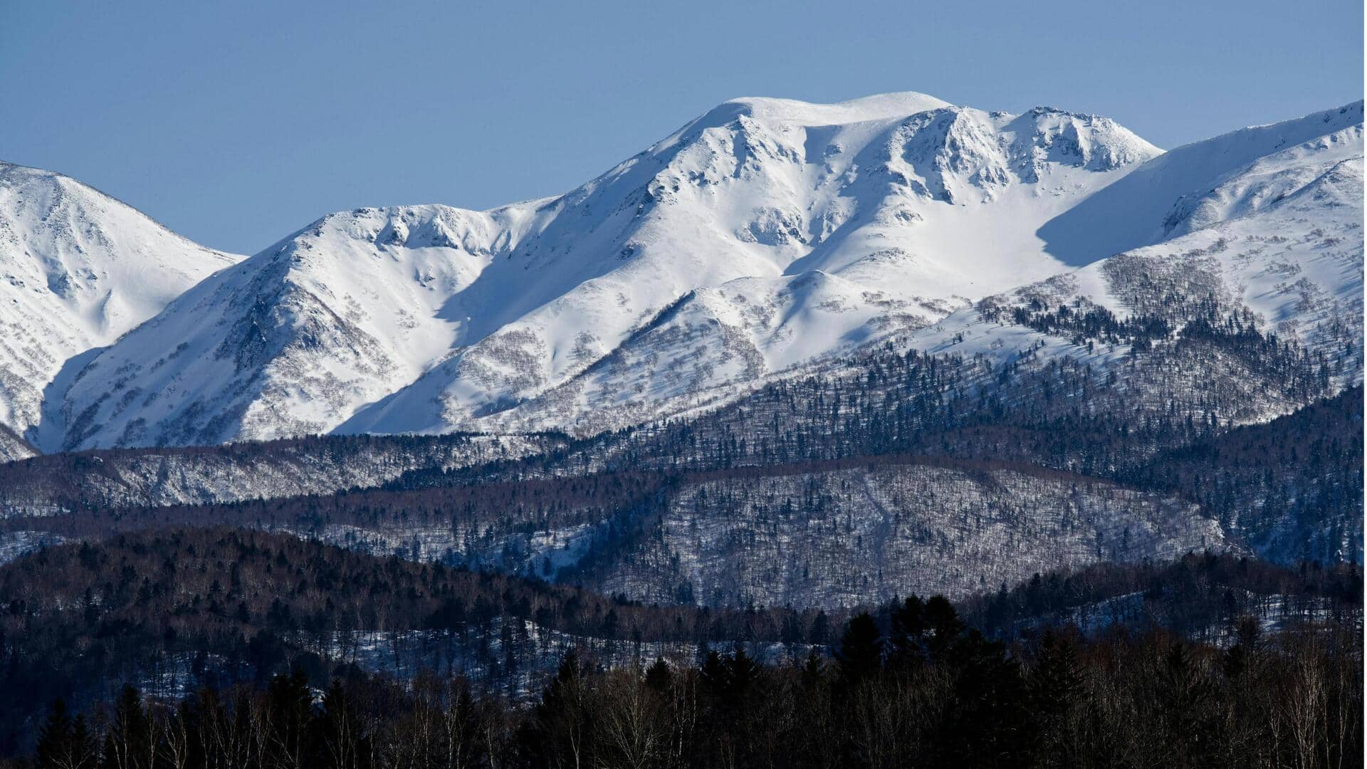 Lima Hutan Lumut Terbaik di Hokkaido untuk Pencinta Alam
