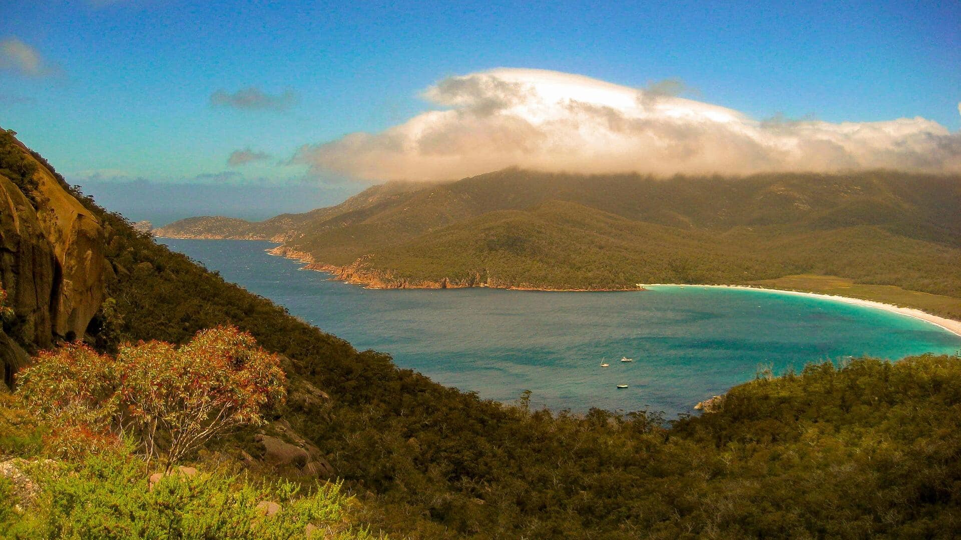 Menjelajahi Tebing Pesisir Tasmania yang Menakjubkan
