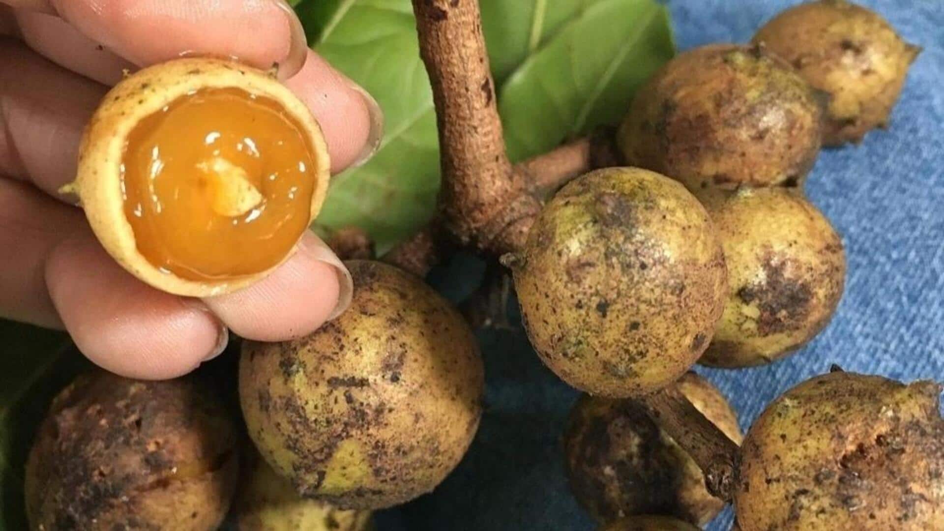 Lima Resep Unik Berbasis Buah Kesambi yang Wajib Anda Coba