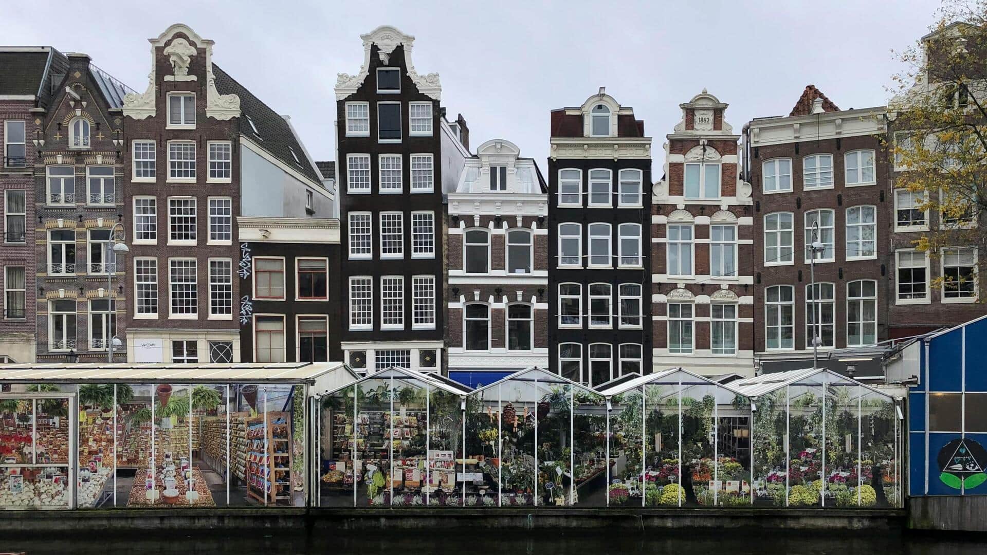 Pasar Bunga Terapung di Amsterdam: Bloemenmarkt Pasar Bunga Terapung di Amsterdam: Bloemenmarkt