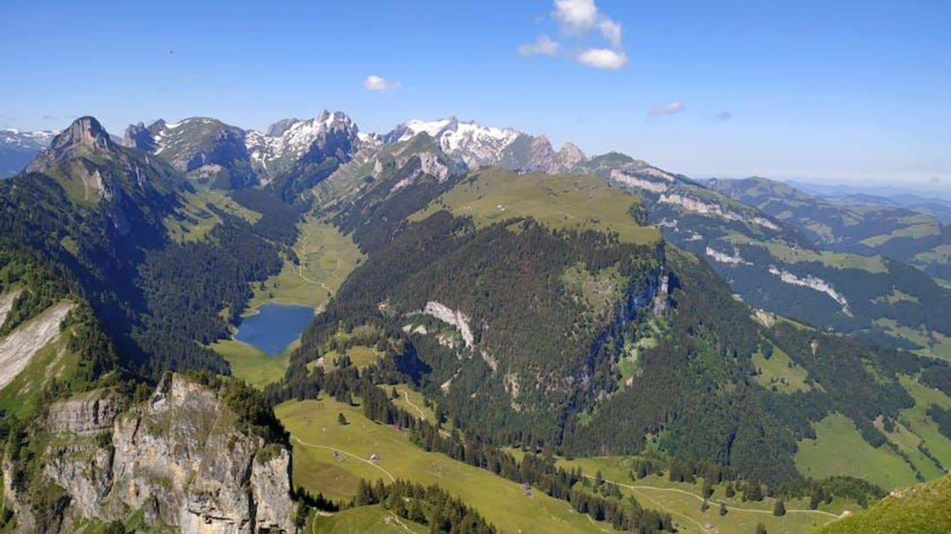 Lima Pendakian Bunga Liar Terbaik di Swiss