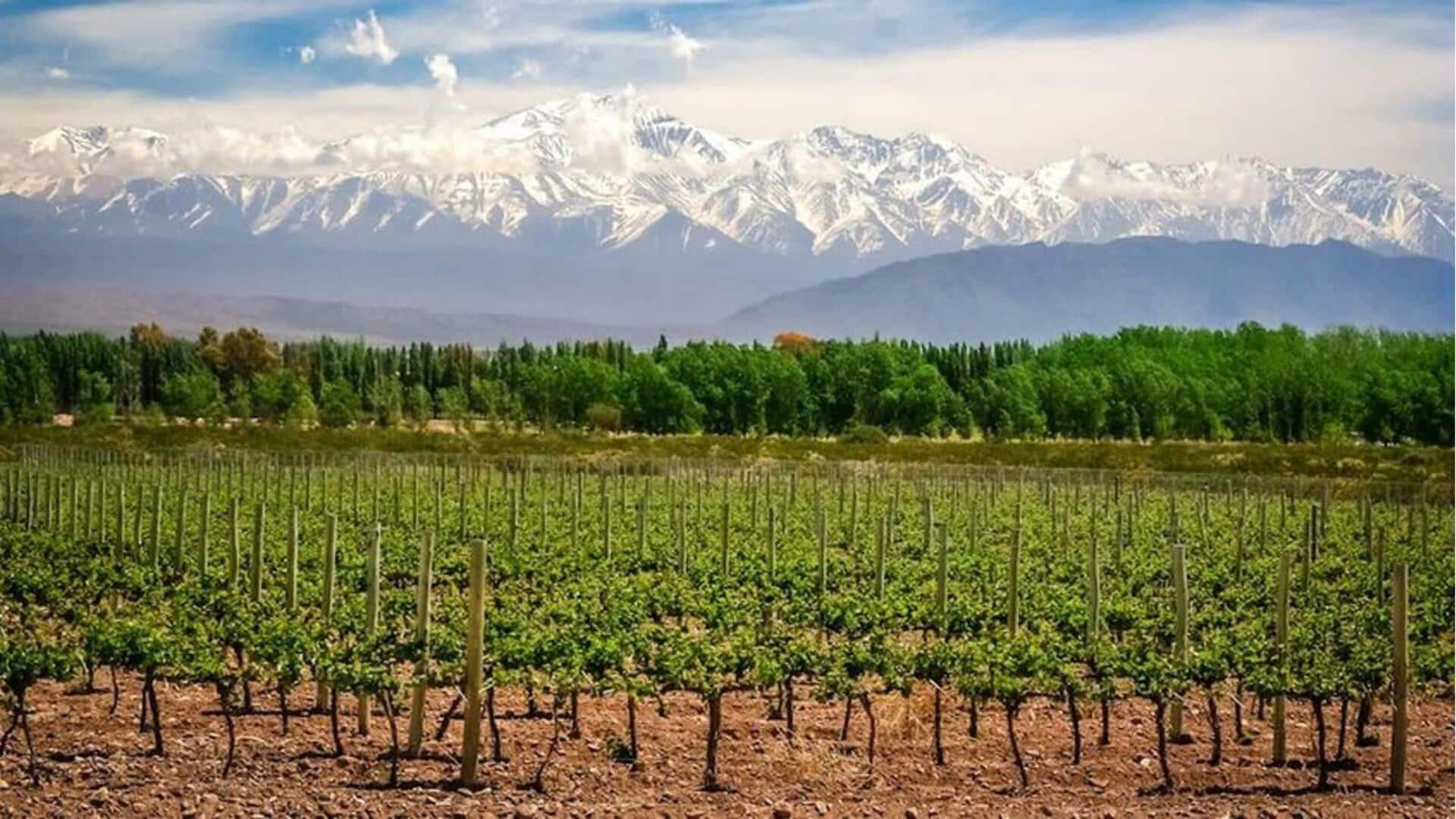 Perayaan musiman panen anggur di Mendoza, Argentina patut untuk dihadiri