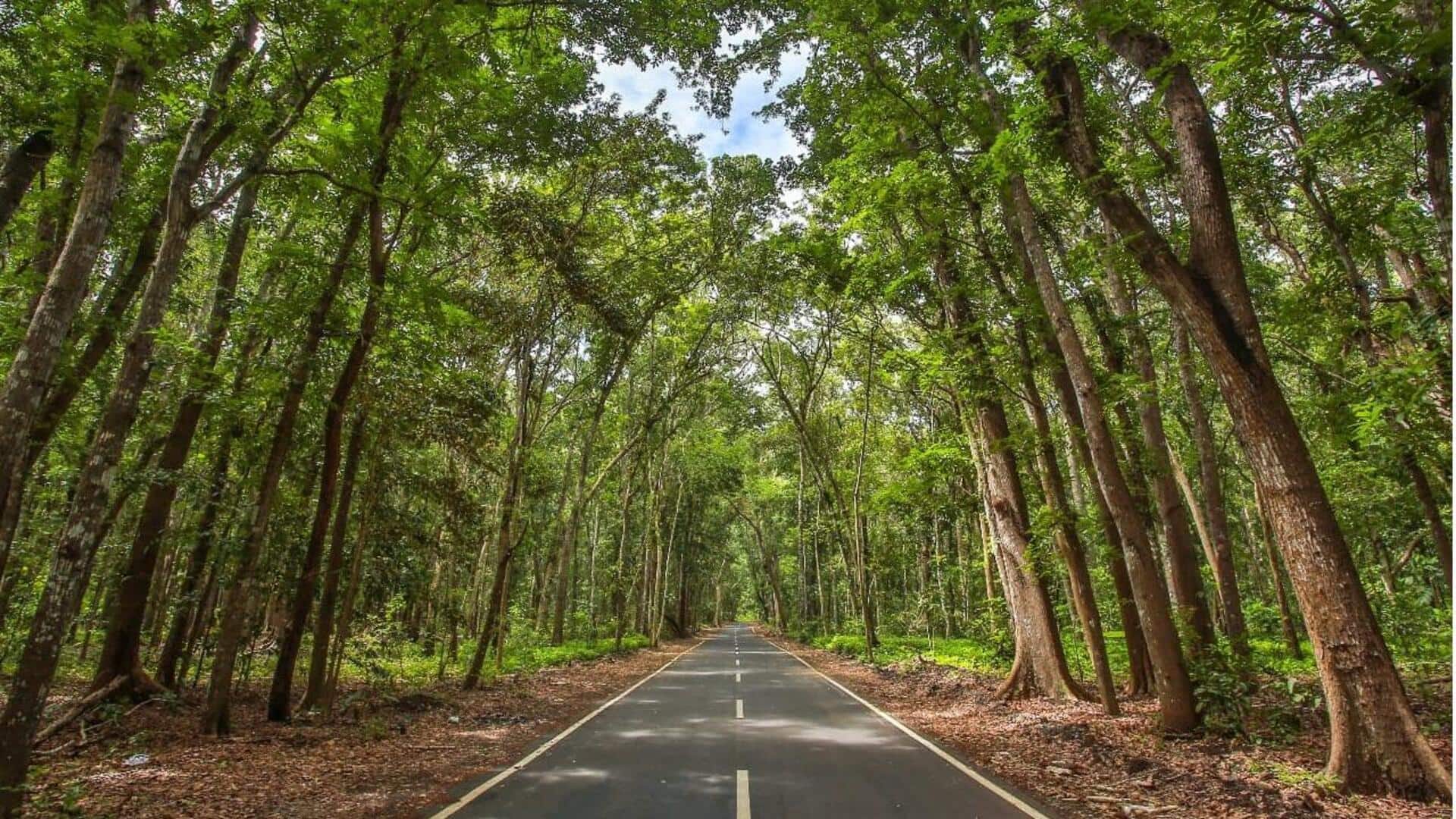 Menjelajahi Sederet Rute Berkendara yang Indah di Pulau Jawa Menjelajahi Sederet Rute Berkendara yang Indah di Pulau Jawa