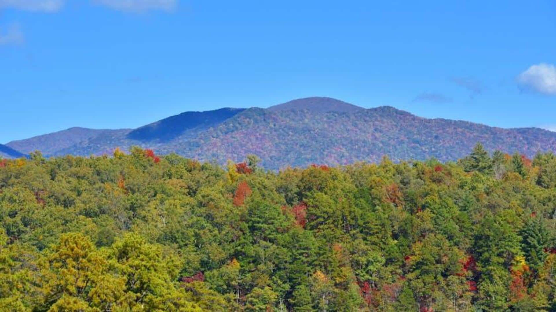 Menikmati Pemandangan dari Clingmans Dome, Taman Nasional Great Smoky Mountains, AS