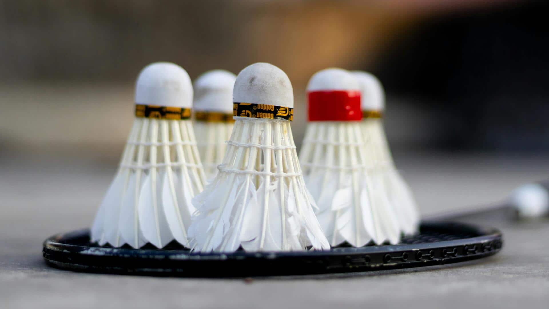Fakta menarik tentang desain kok badminton Fakta menarik tentang desain kok badminton