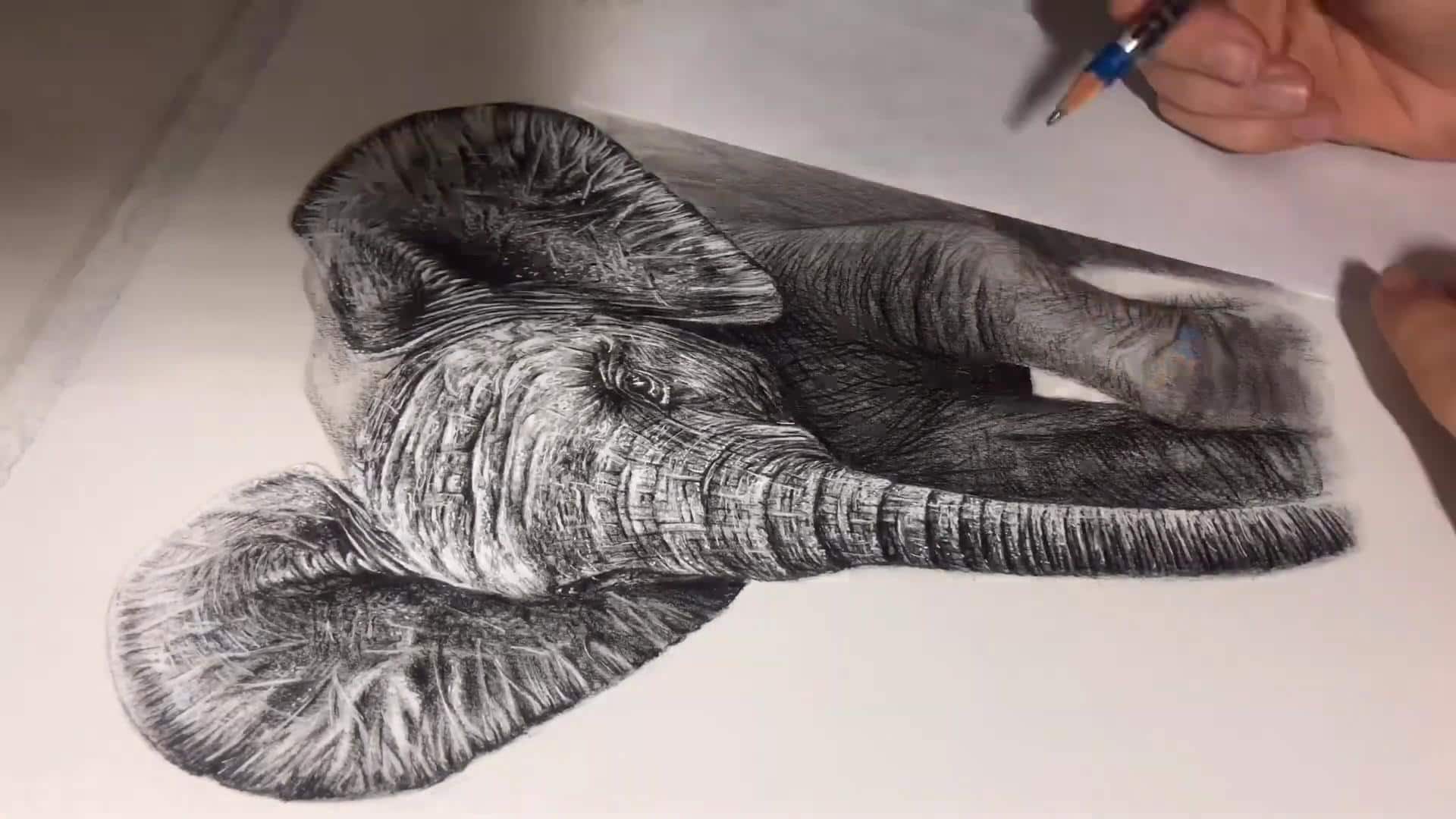 Lima Teknik Dasar untuk Menggambar Hewan dengan Hasil yang Realistis