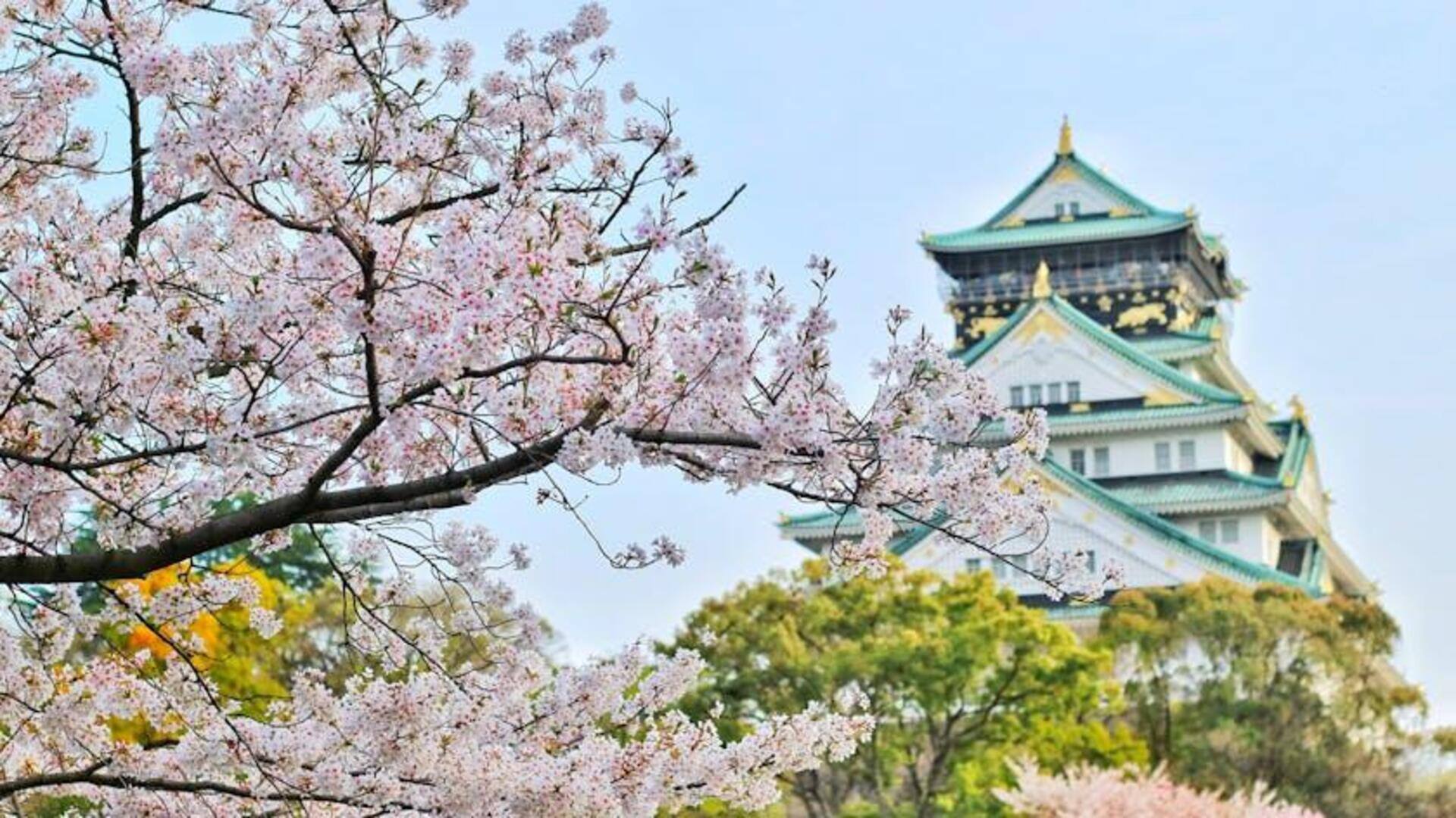 Menjelajahi Jalur Sakura di Jepang untuk Pelarian Musim Semi Menjelajahi Jalur Sakura di Jepang untuk Pelarian Musim Semi