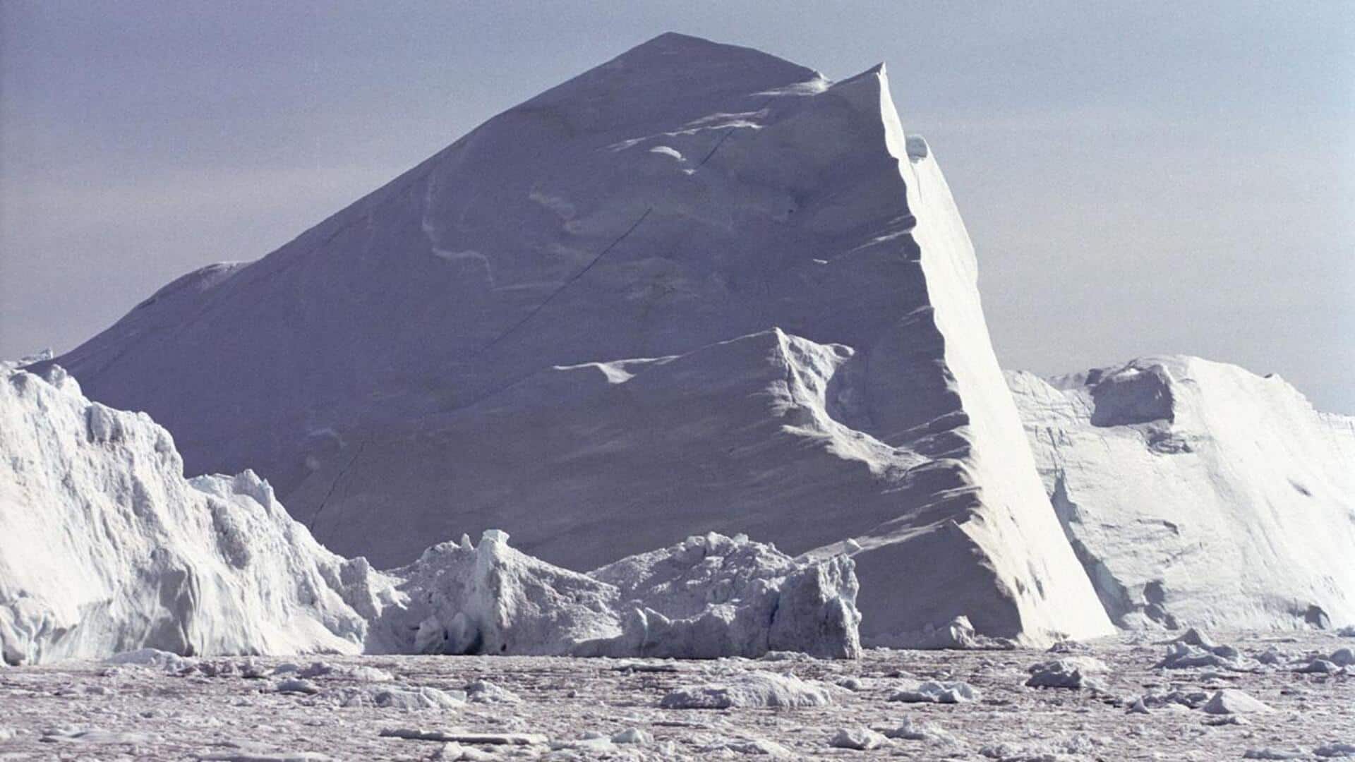 Daya Tarik Fjord Greenland: 5 Aktivitas Terbaik
