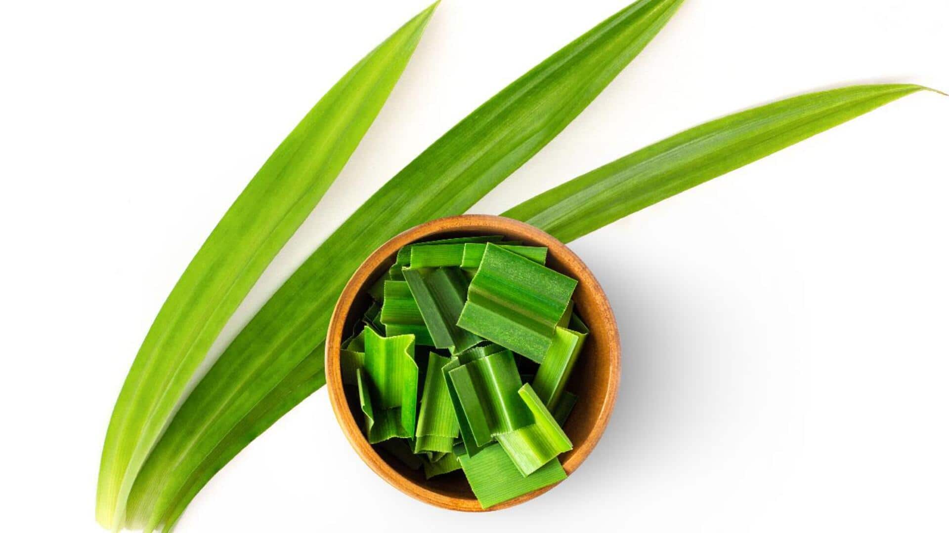 Menjelajahi Dunia Aromatik Pandan dalam Kuliner Indonesia