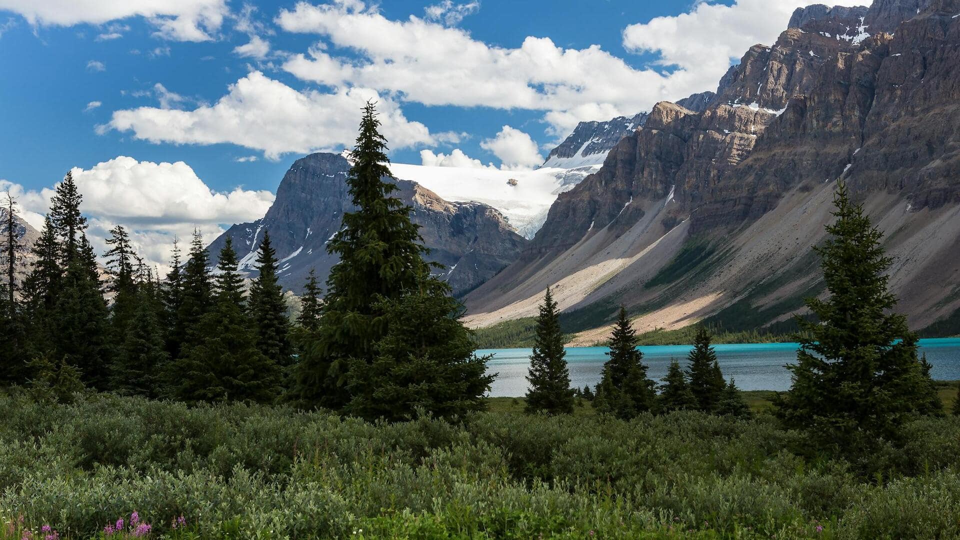 Perlengkapan penting untuk berkemah di Taman Nasional Banff