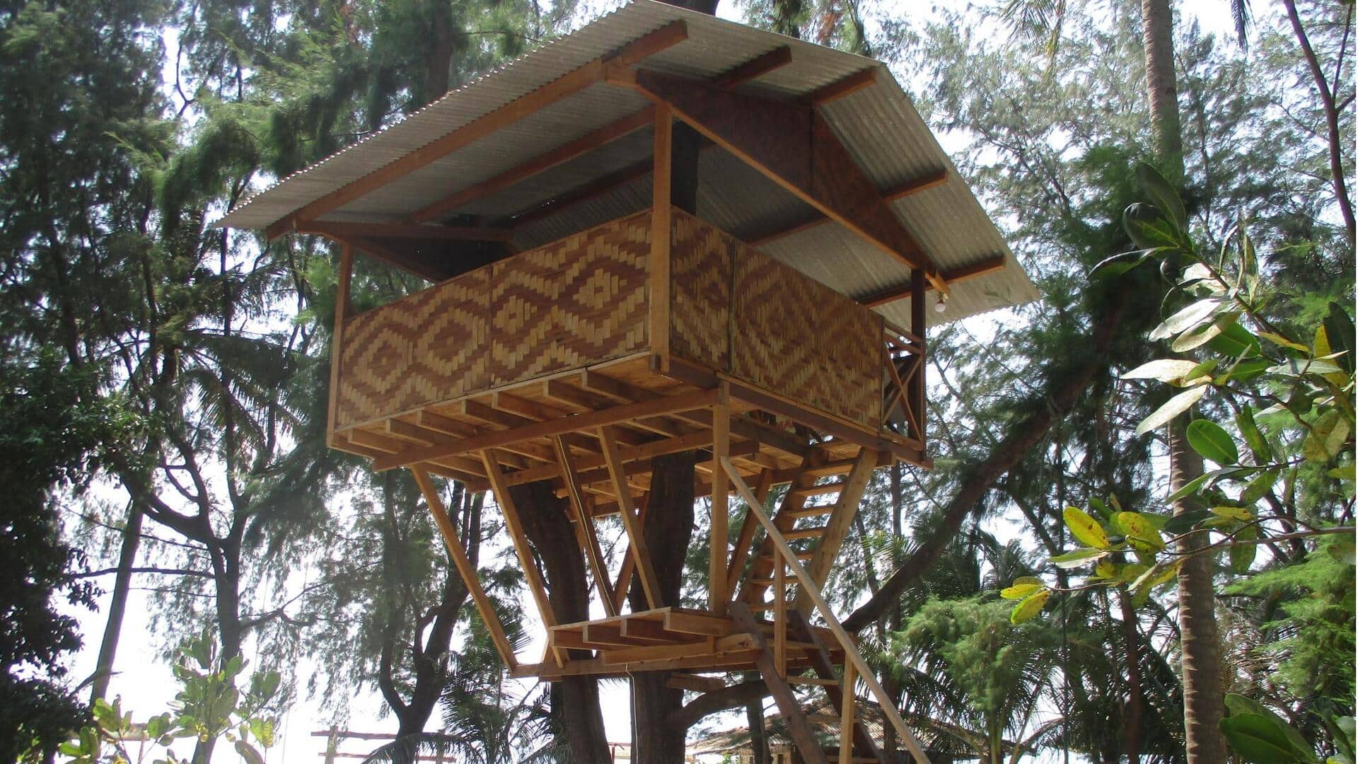 Menemukan desa rumah pohon tersembunyi di Indonesia Menemukan desa rumah pohon tersembunyi di Indonesia
