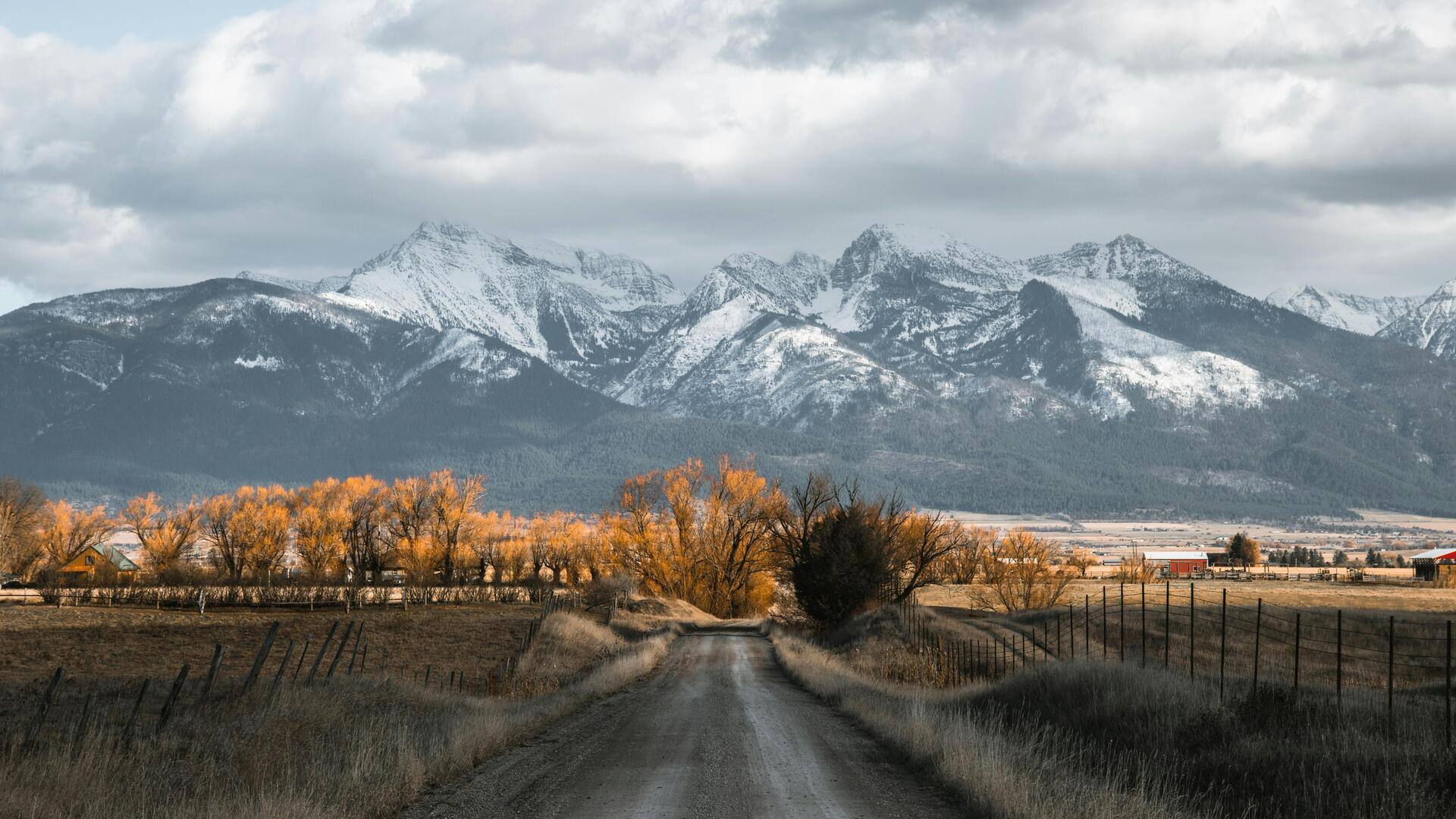 Menjelajahi Kawanan Mustang Liar di Pegunungan Pryor, Montana, AS