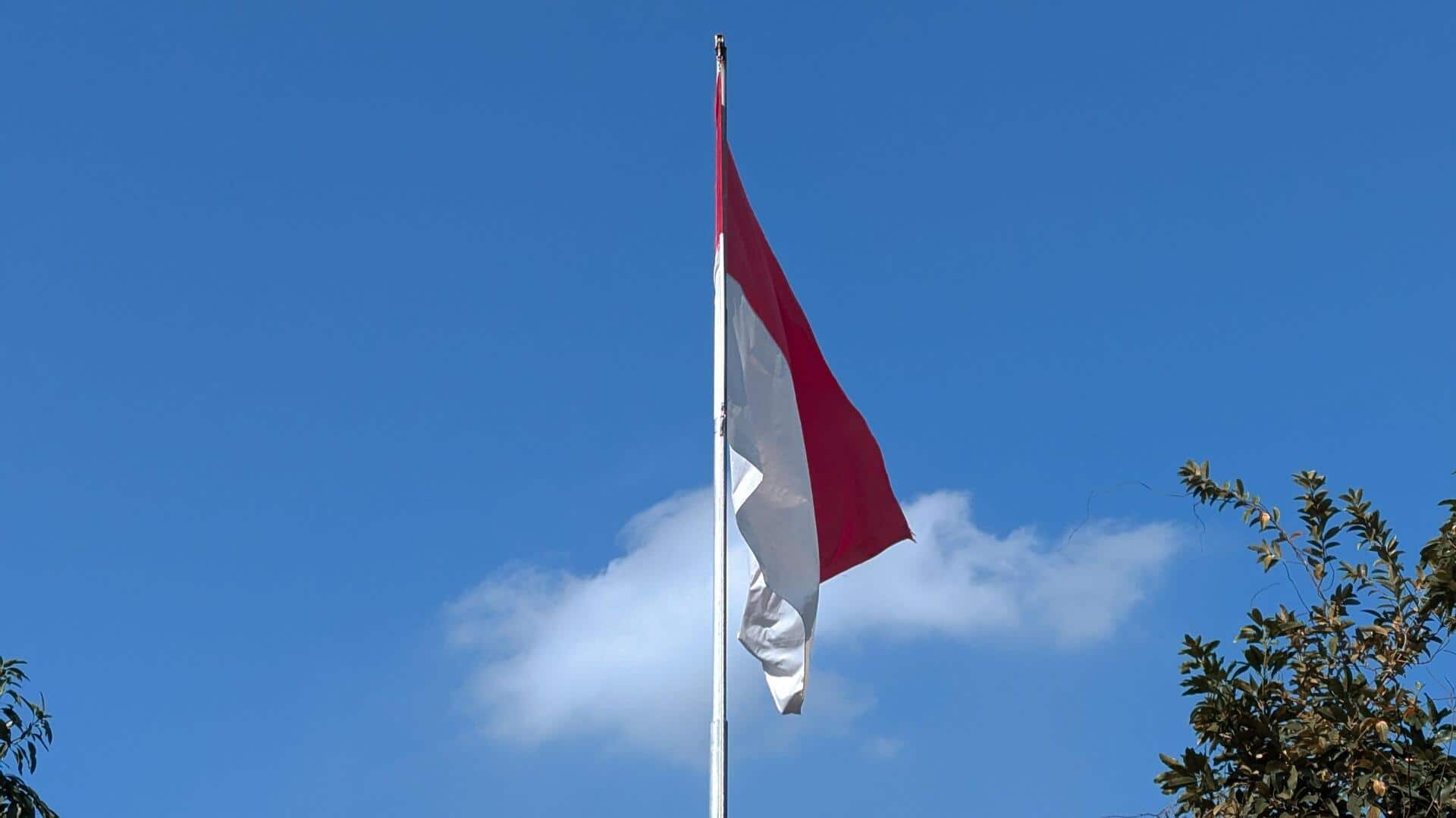 Pemrosesan Bahasa Alami dalam Pelestarian Budaya Indonesia