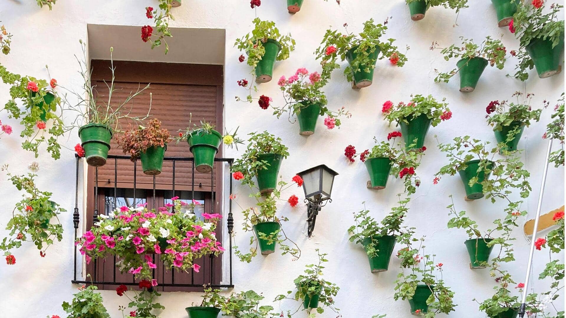 Ubah dinding kusam dengan dekorasi alami