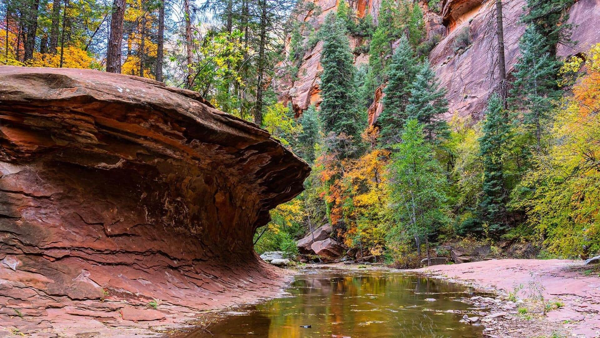 Lima Jalur Pendakian Yang Unik Di Sedona