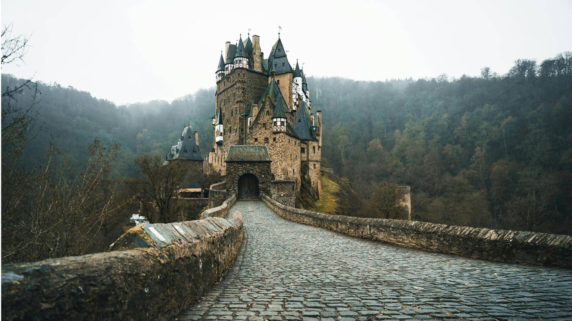 Menikmati Keindahan Kebun Anggur Lembah Moselle, Jerman